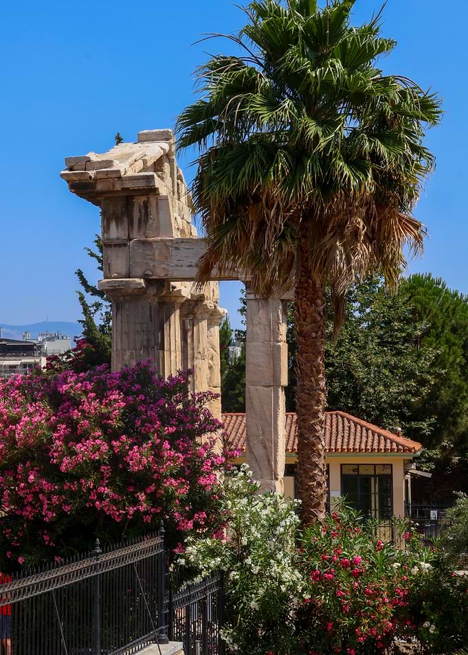 Ancient Ruins and Palm Tree