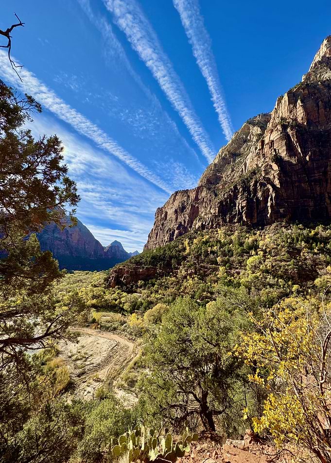 Zion National Park Landscape