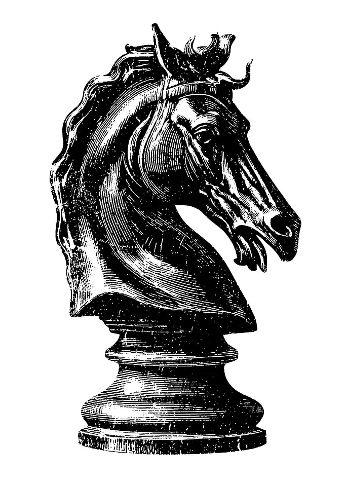 Chess Knight Piece Black and White