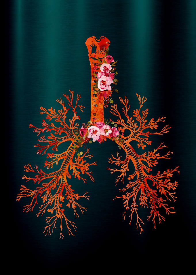 Floral Lungs Anatomy Art