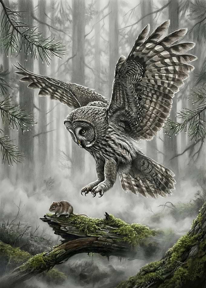 Owl Hunting Mouse in Misty Forest