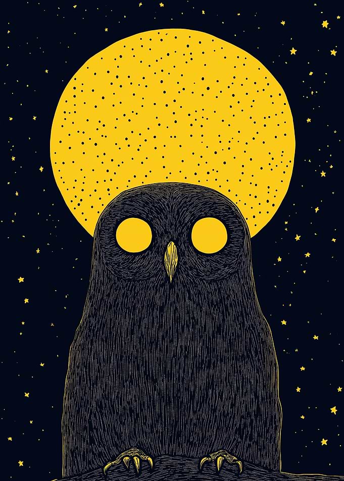 Owl and Moon Illustration