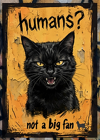 Grumpy Black Cat Poster