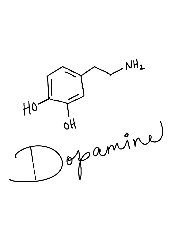 Dopamine Molecule Structure