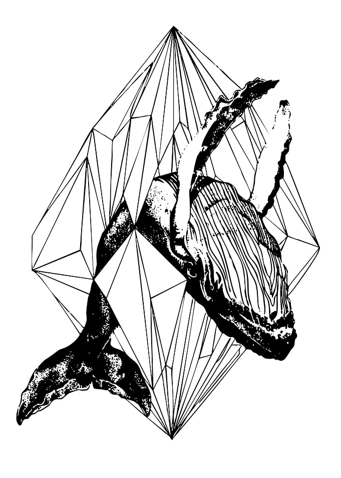 Whale in Geometric Diamond