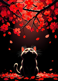 Cat under Cherry Blossoms