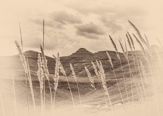Wind-Reeds & Clouded Ridges — Drakensberg, South Africa