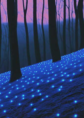 Enchanted Forest with Glowing Lights