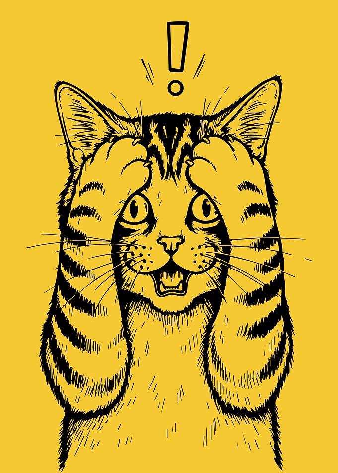 Surprised Cat Illustration