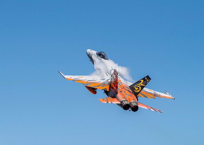 EF-18A Ala 15 – Tiger Meet 2016
