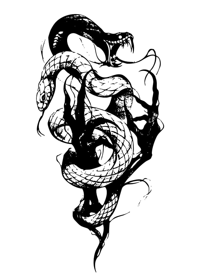 Black and White Snake Illustration