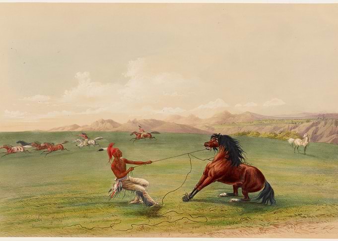Native American Horse Taming Scene