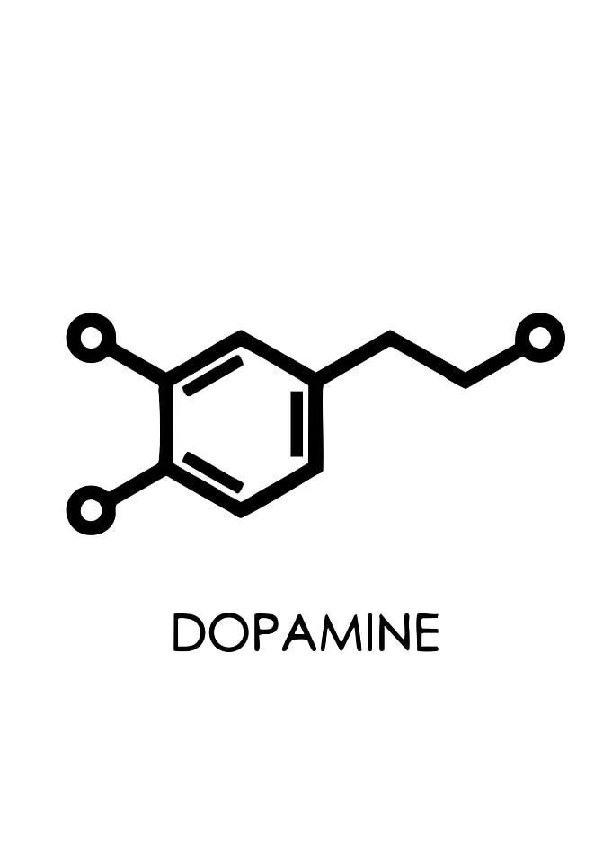 Dopamine Molecule Structure