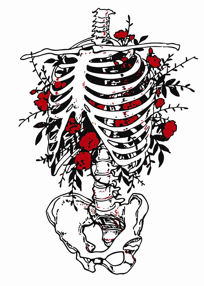Floral Skeleton Anatomy Art