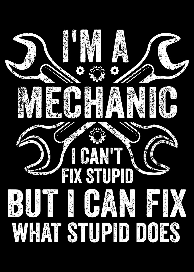 I'm a Mechanic Poster, Funny Garage Wall Art, I Can't Fix Stupid Quote Print