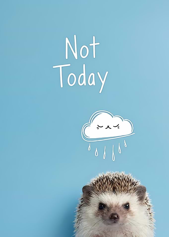 Not Today Hedgehog