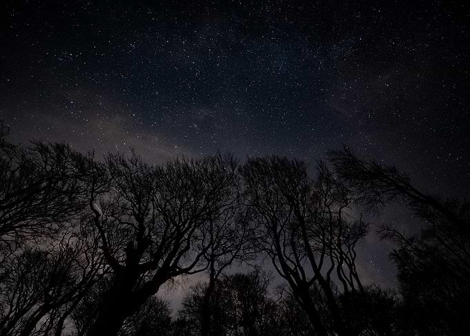 Starry Night Sky at Gespensterwald