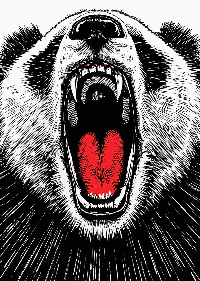 Roaring Panda Illustration