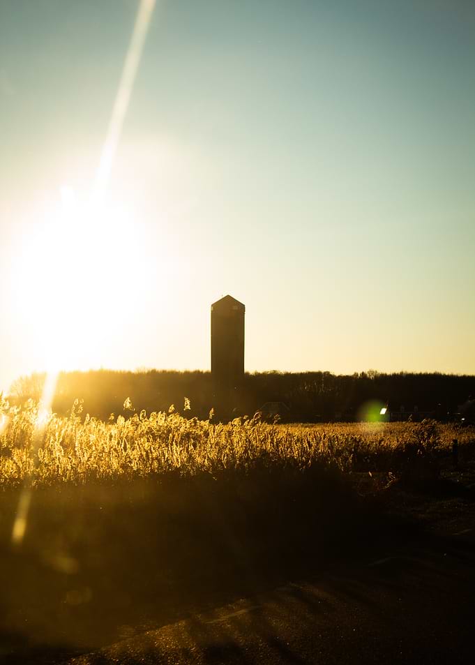 The old water tower