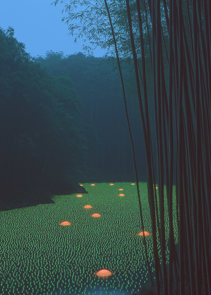 Bamboo Forest with Glowing Lights