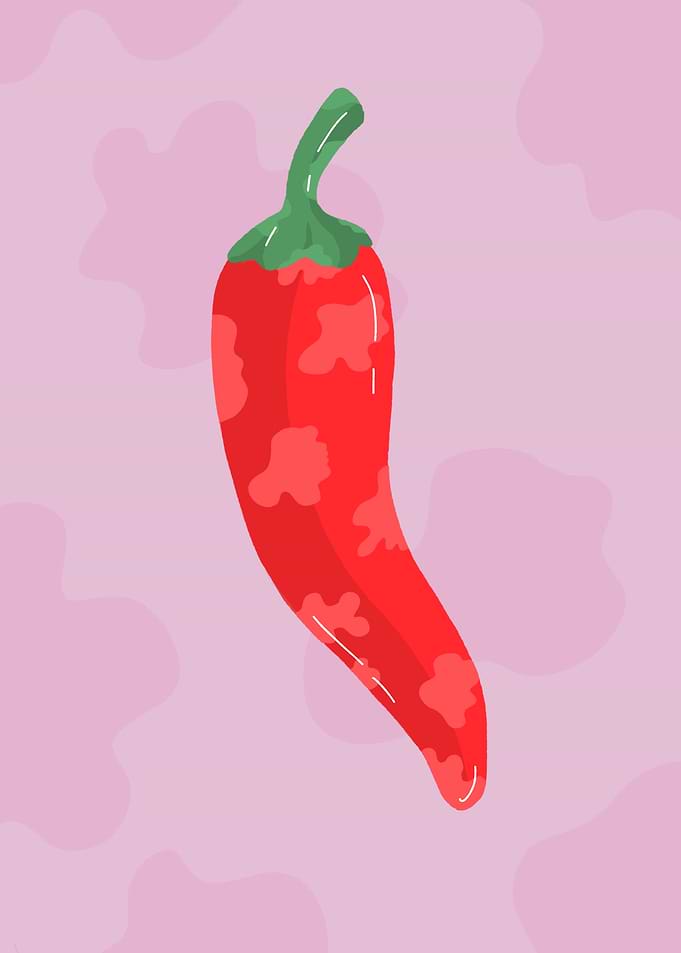 Red Chili Pepper Illustration