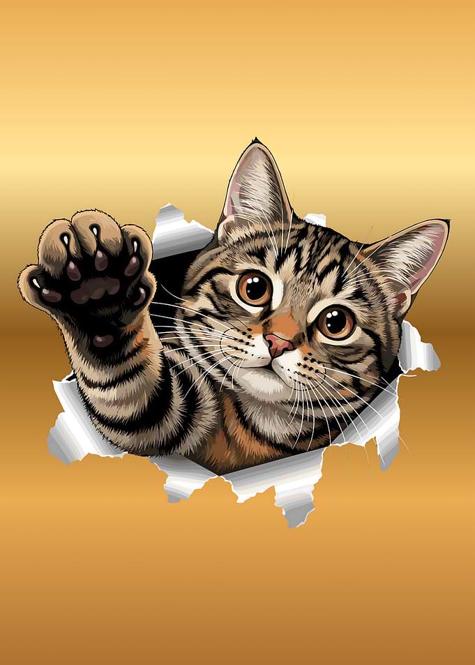 Tabby Cat Breaking Through Gold