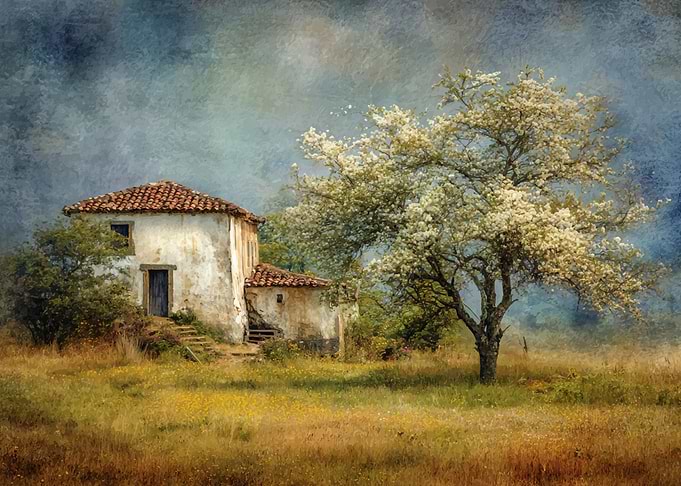 Rustic House with Blossoming Tree