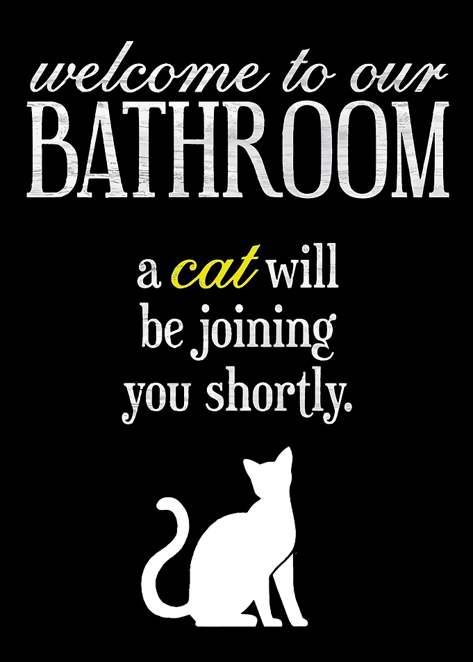 Welcome to our bathroom cat