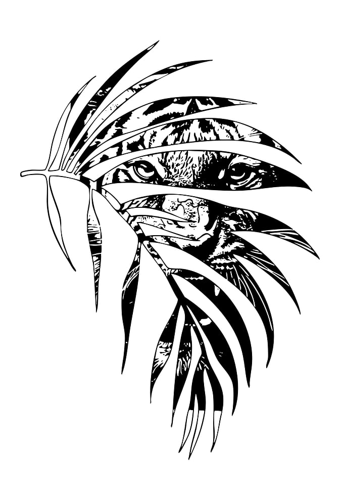 Tiger hiding behind leaves illustration