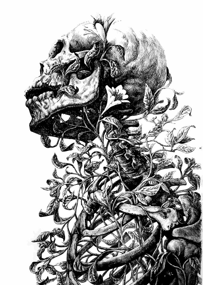Skull and Vines Black and White