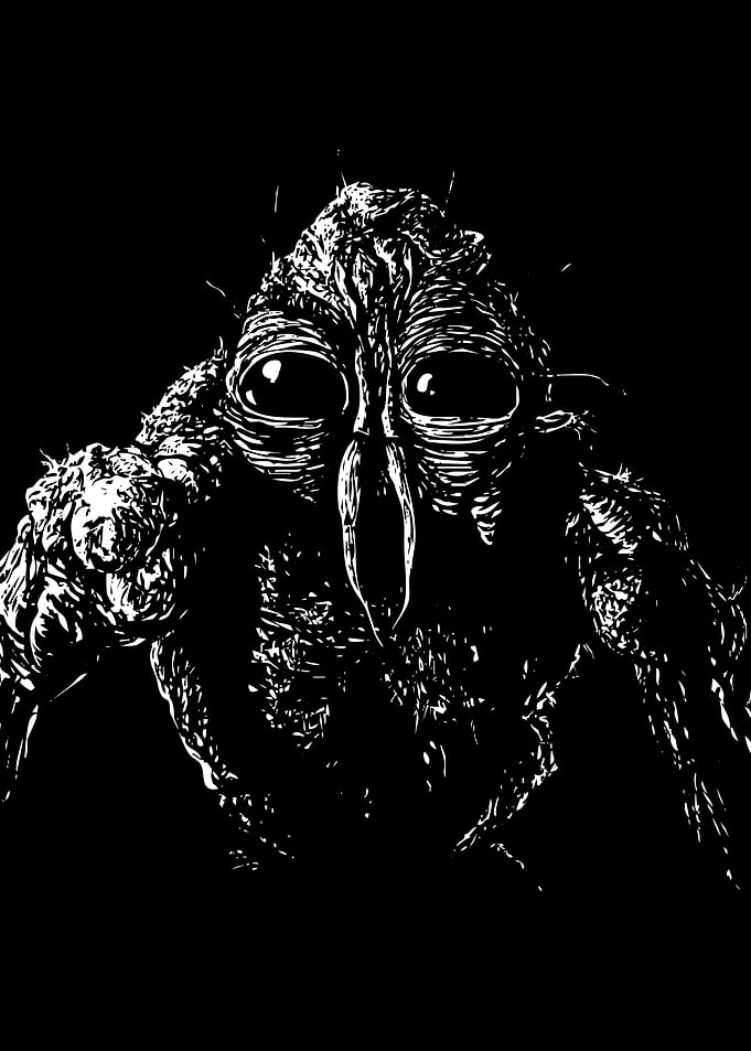 The Fly