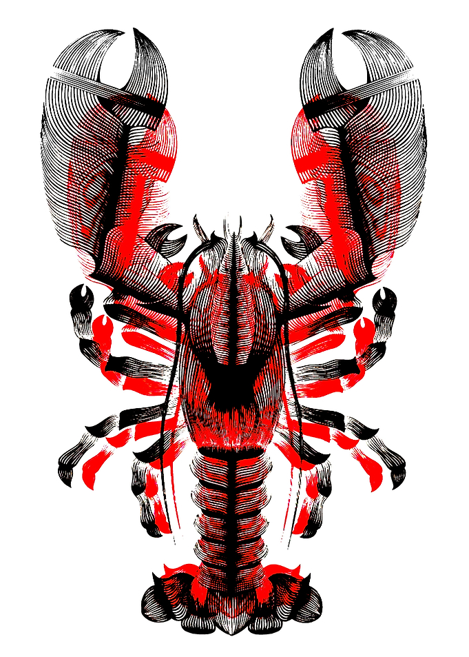 Red and Black Lobster Illustration