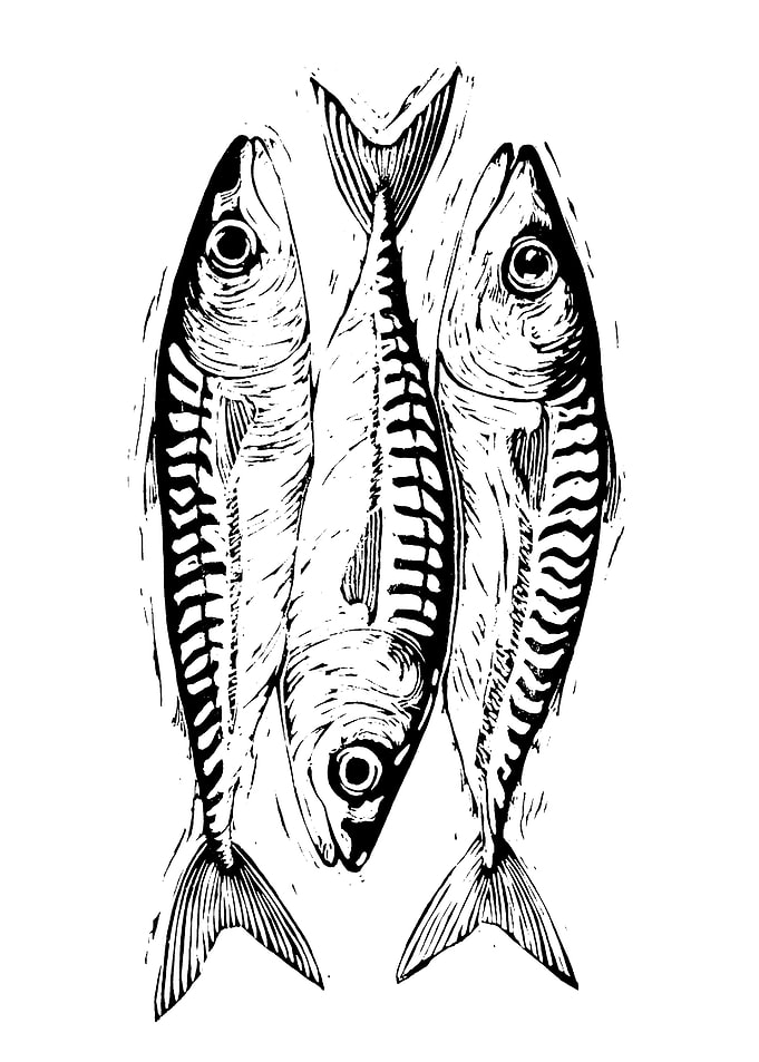 Three Fish Black and White Print