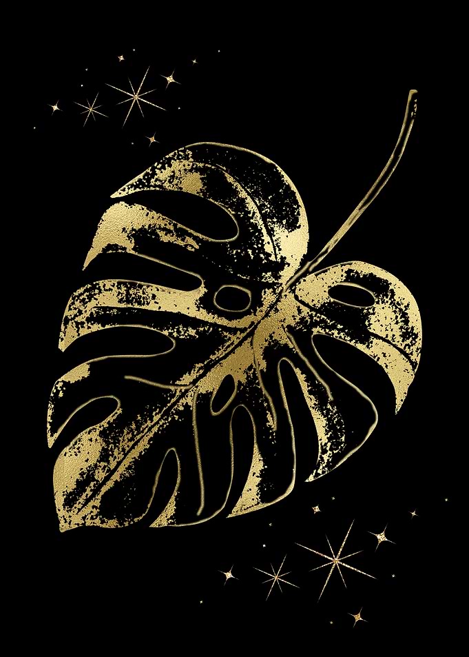 Antique Monstera