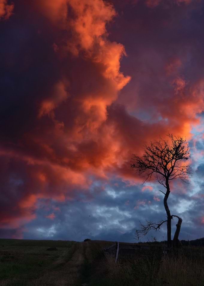 Fiery Sunset Over Lonely Tree