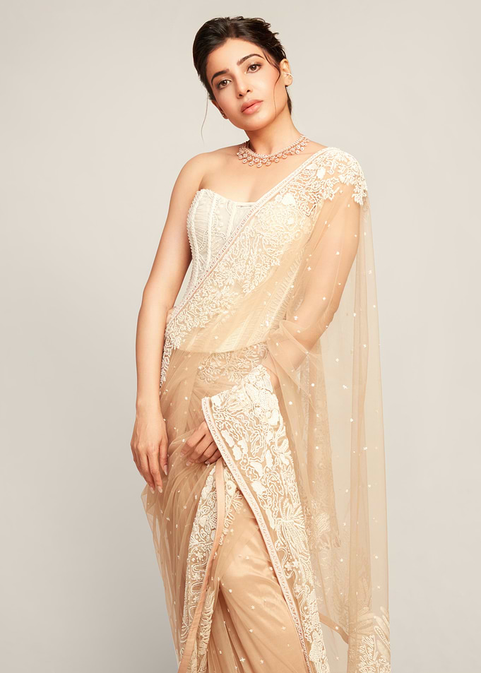 Woman in Elegant Saree Portrait indian actress