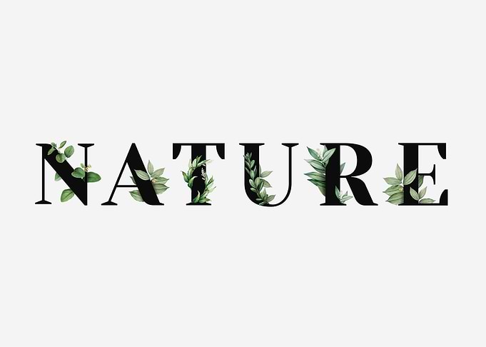 Nature Typography with Green Leaves