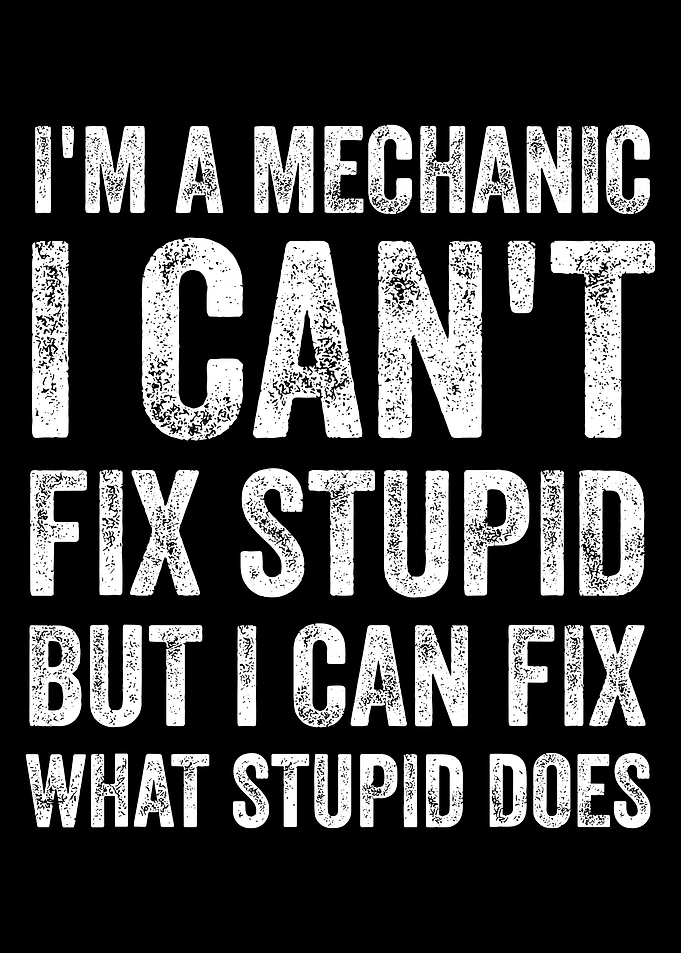 Funny Mechanic Poster, Sarcastic Car Repair Quote Wall Art, Garage Humor Print