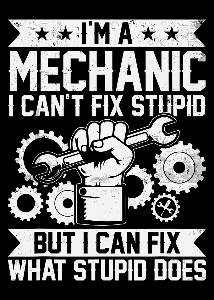 Funny Mechanic Quote Poster, I Cant Fix Stupid Wall Art, Garage Workshop Humor Print