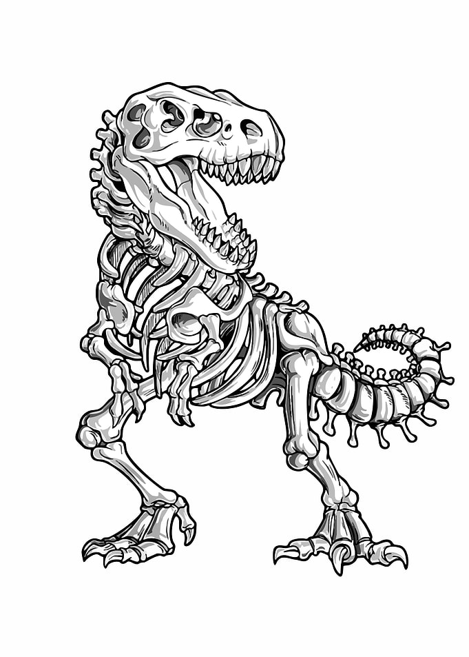 T-Rex Skeleton Illustration