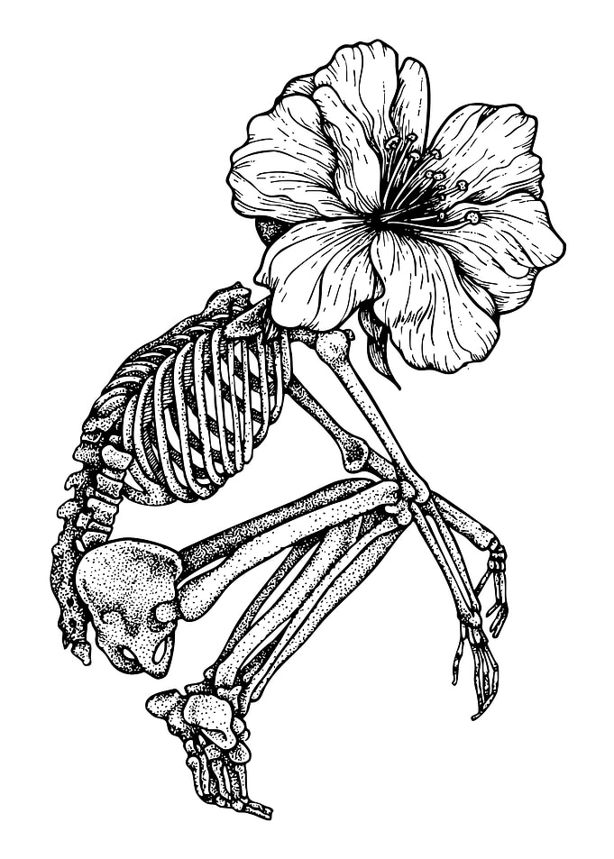 Skeleton with Flower Head Illustration