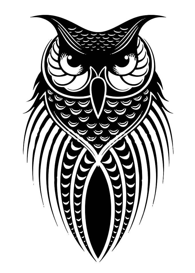 Stylized Black and White Owl Illustration