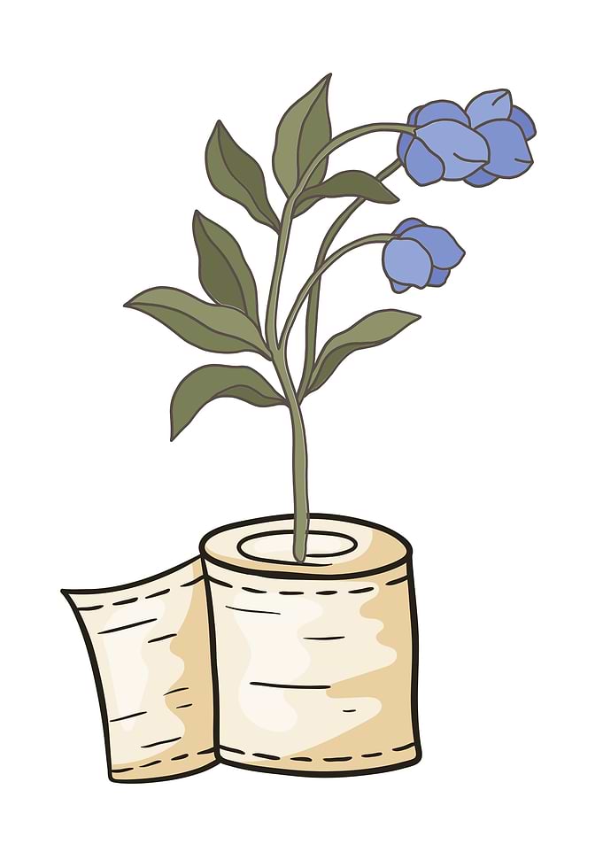 Toilet Paper Roll with Blue Flowers