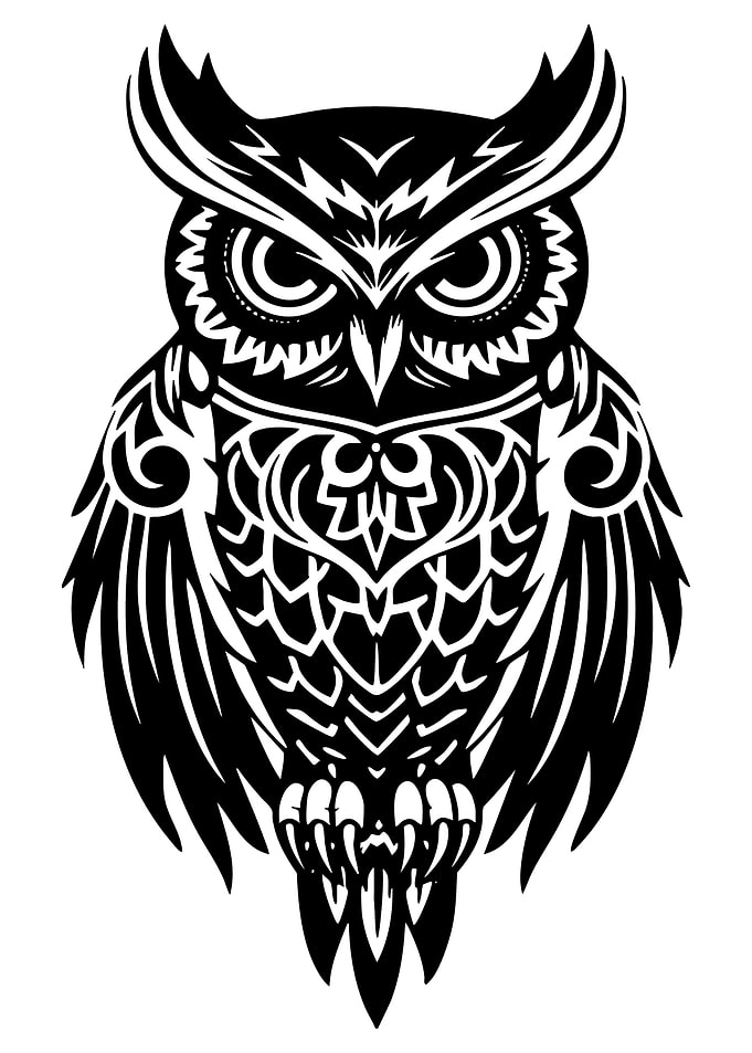 Stylized Black and White Owl Illustration