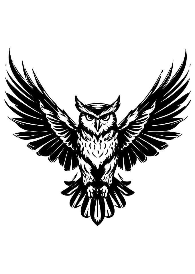 Black and White Owl Illustration
