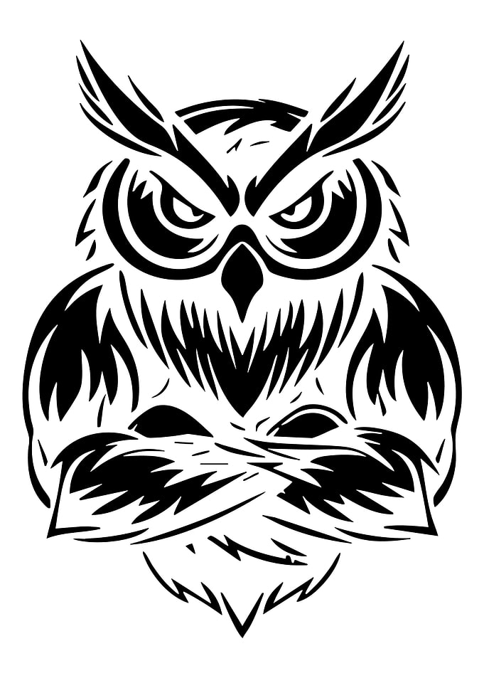 Black and White Owl Illustration