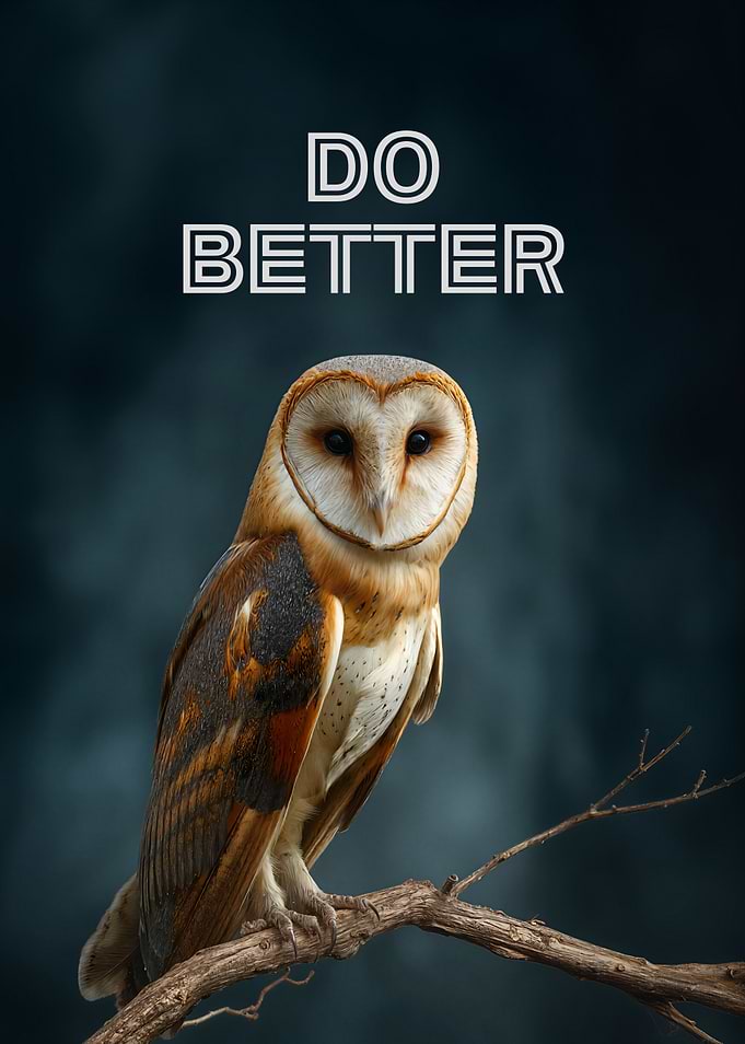 Do Better Owl