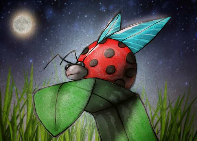 Ladybug on a Leaf at Night