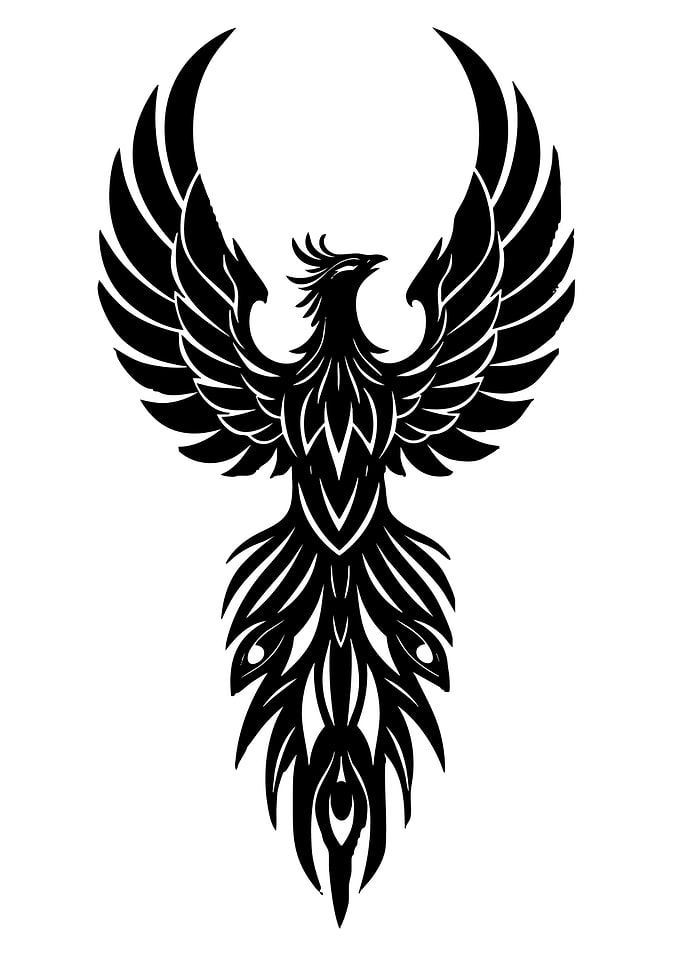 Black Phoenix Rising Illustration