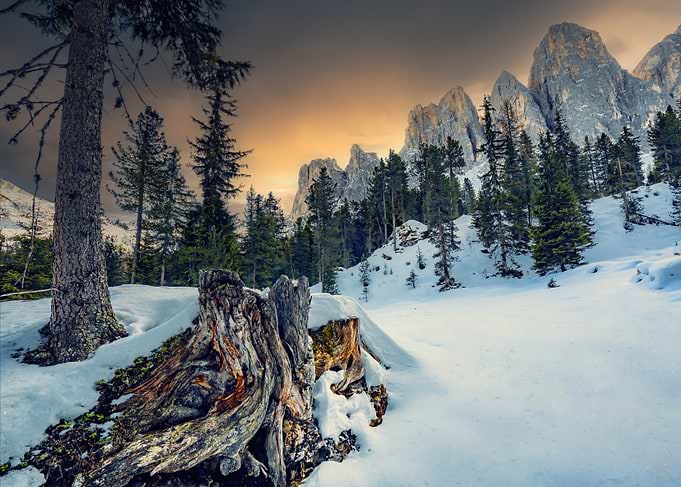 Winter Mountain Landscape with Snow and Trees